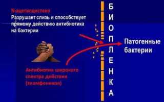 Тиамфеникол — яркий представитель группы антибиотиков